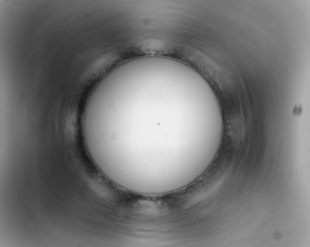 X0000103960690200809191512