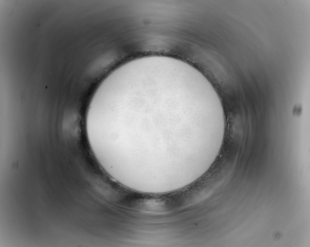 X0000103960692200809191512