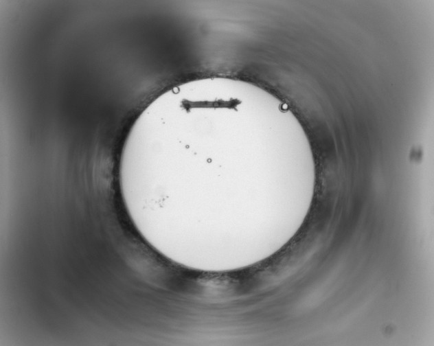 X0000103960693200809191512