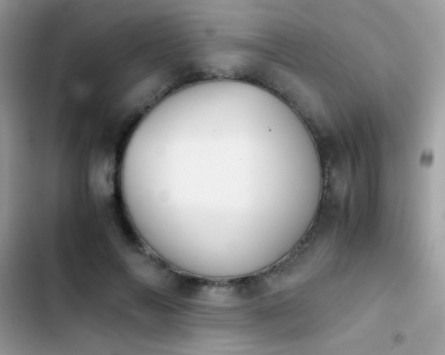 X0000103960694200809191512