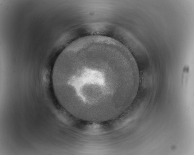 X0000103960695200809191512