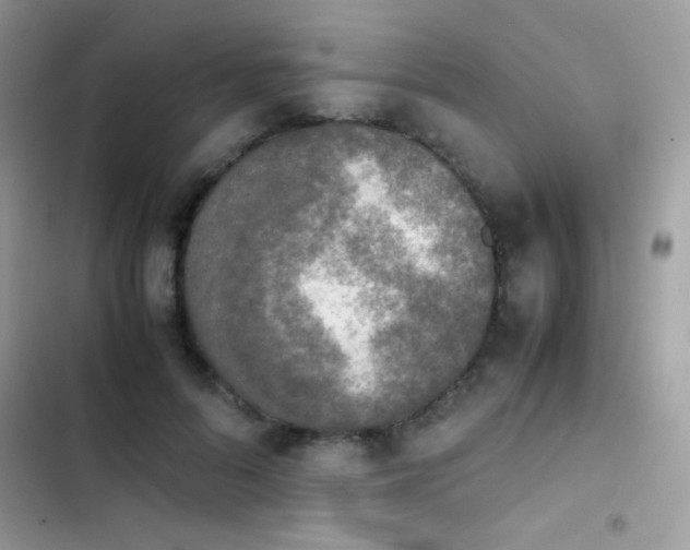 X0000103960696200809191512