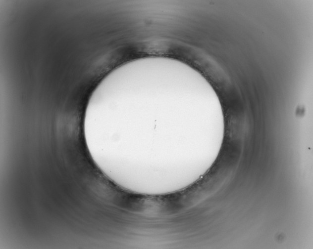 X0000103960697200809191512