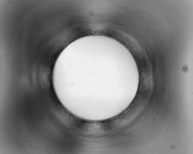 X0000103960698200809191512