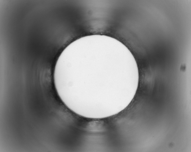 X0000103960700200809191512