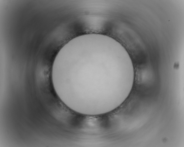 X0000103960701200809191512