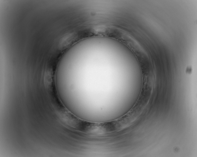 X0000103960702200809191512