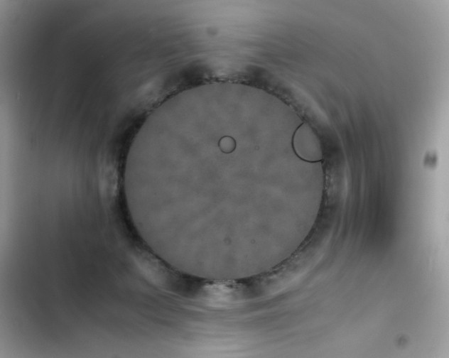 X0000103960703200809191512