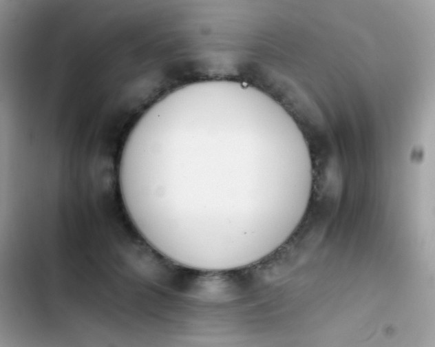 X0000103960704200809191512