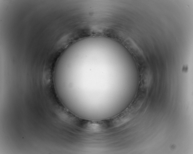 X0000103960706200809191511