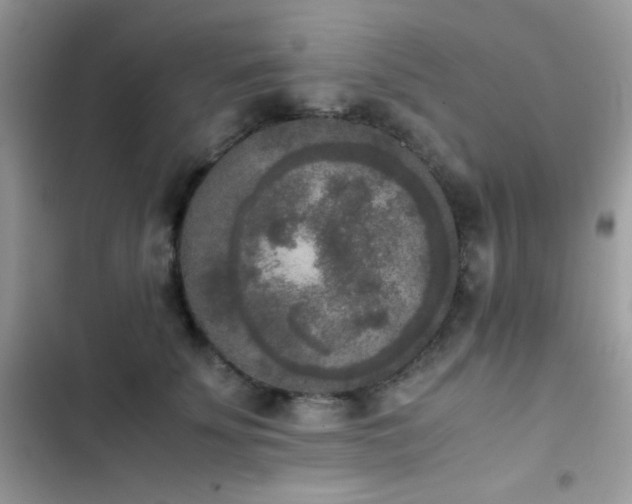 X0000103960707200809191511
