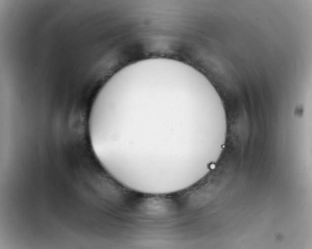 X0000103960708200809191511