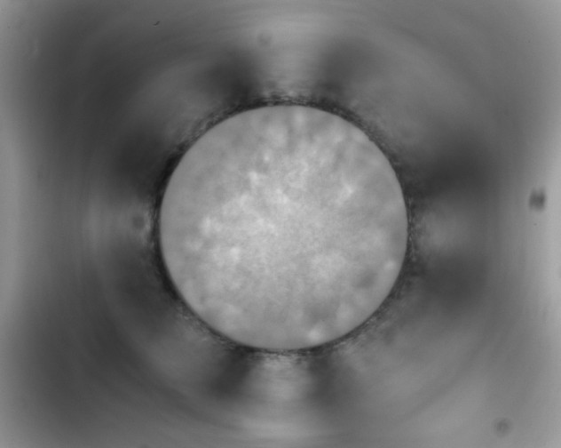 X0000103960709200809191511