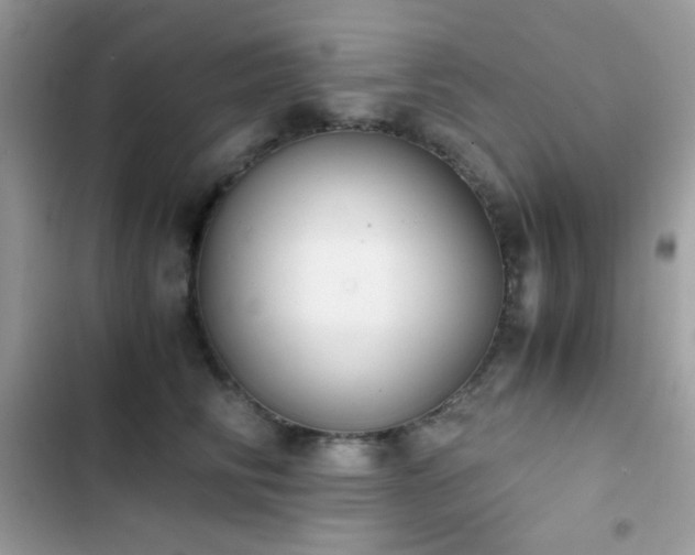 X0000103960710200809191511