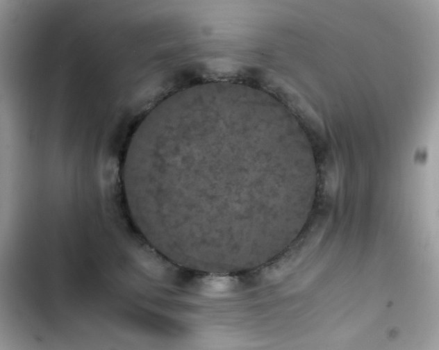X0000103960711200809191511