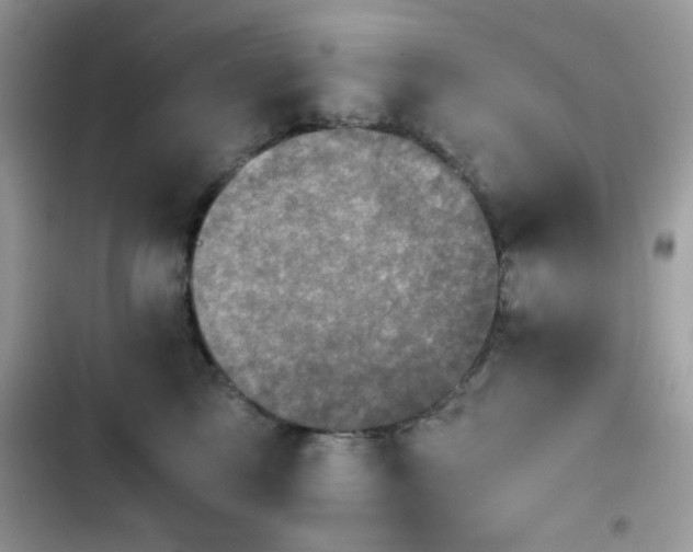 X0000103960713200809191511