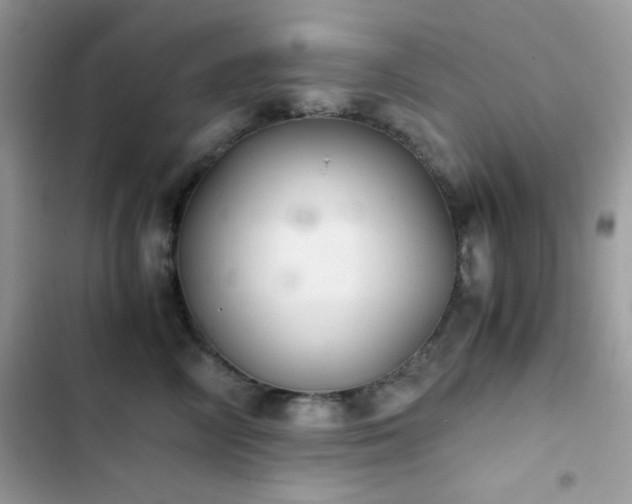 X0000103960714200809191511
