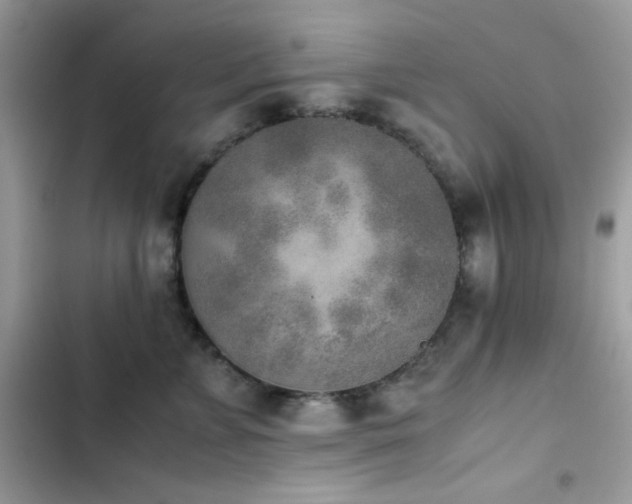 X0000103960715200809191511