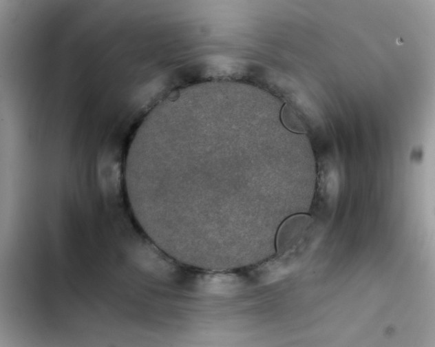 X0000103960716200809191511
