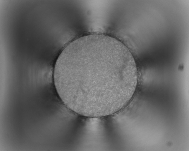 X0000103960717200809191511