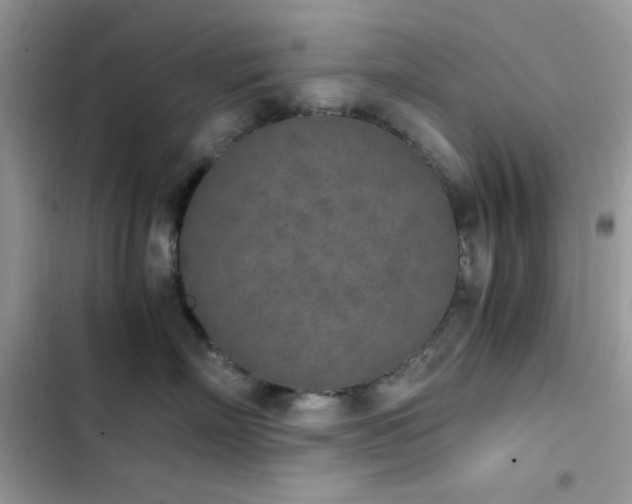 X0000103960718200809191511