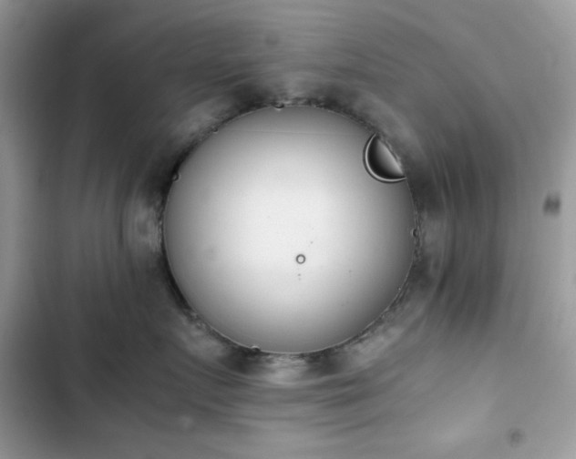 X0000103960719200809191511