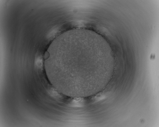 X0000103960720200809191511