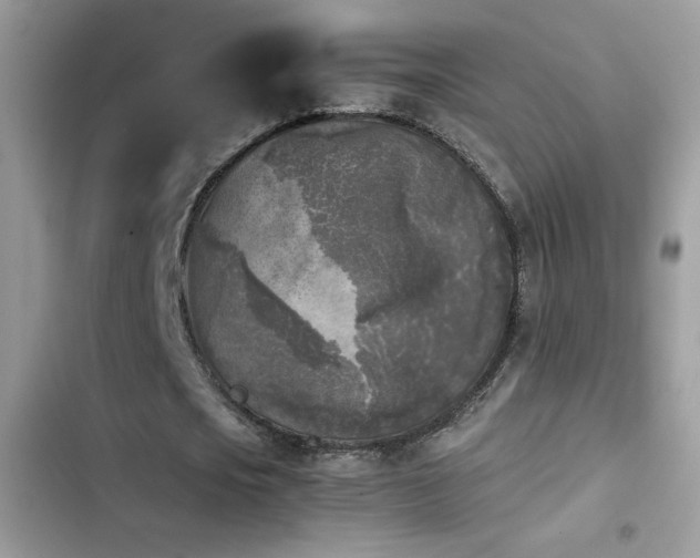 X0000103960721200809191511