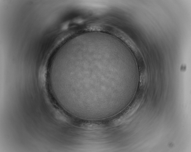 X0000103960722200809191511