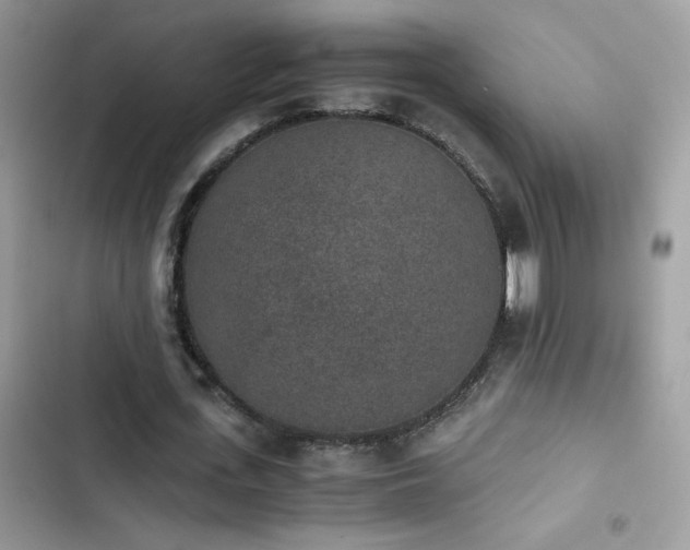 X0000103960723200809191511