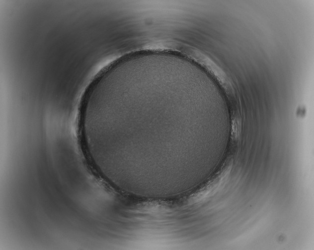 X0000103960724200809191511