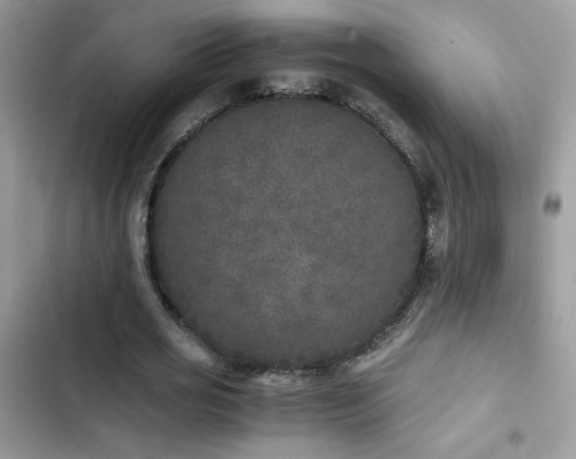 X0000103960725200809191511