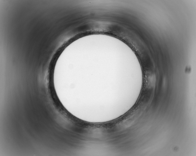 X0000103960726200809191511