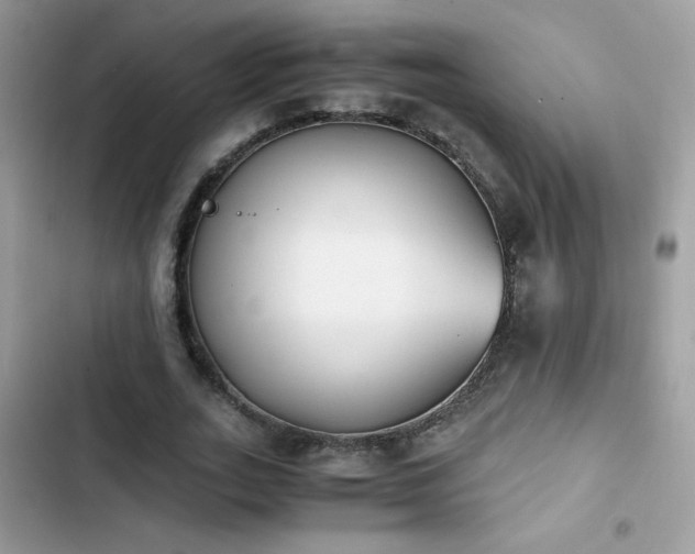 X0000103960727200809191511