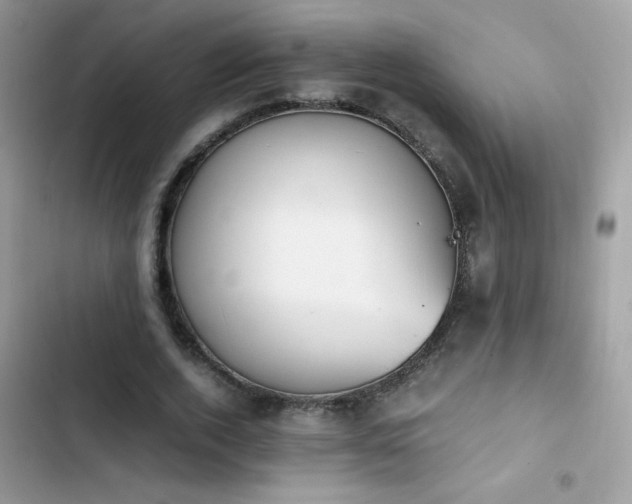 X0000103960728200809191511