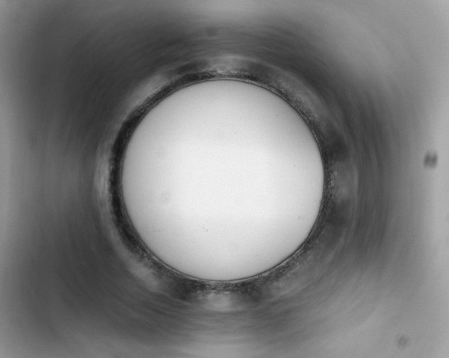 X0000103960730200809191511