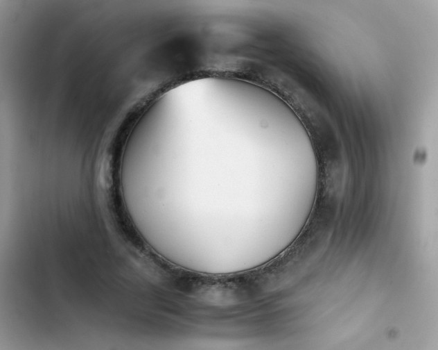 X0000103960731200809191511