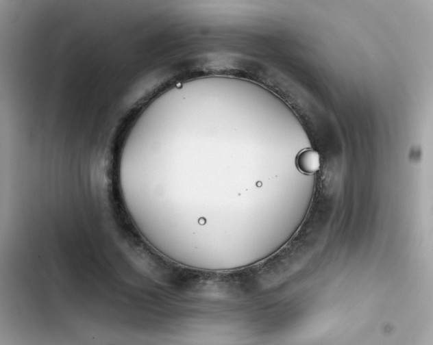 X0000103960732200809191511
