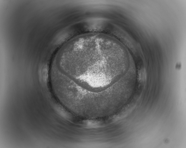 X0000103960733200809191511