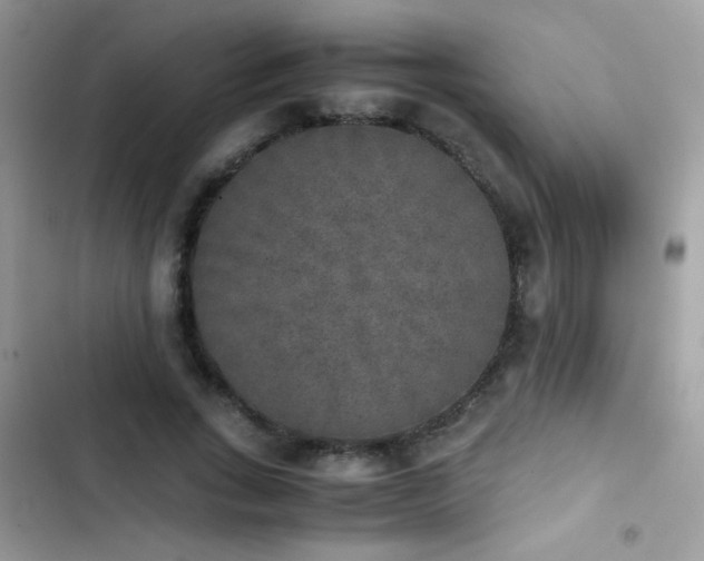 X0000103960735200809191511