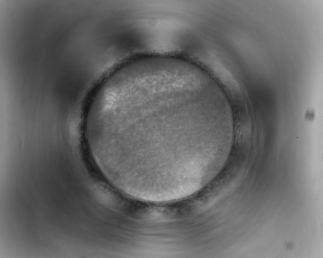 X0000103960736200809191511
