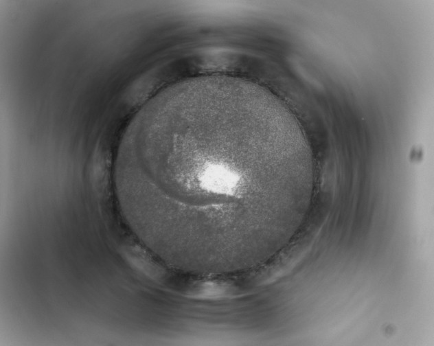 X0000103960737200809191511