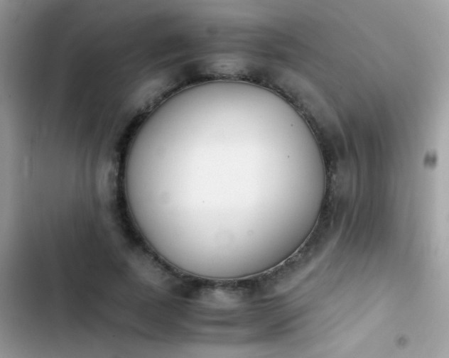 X0000103960739200809191511