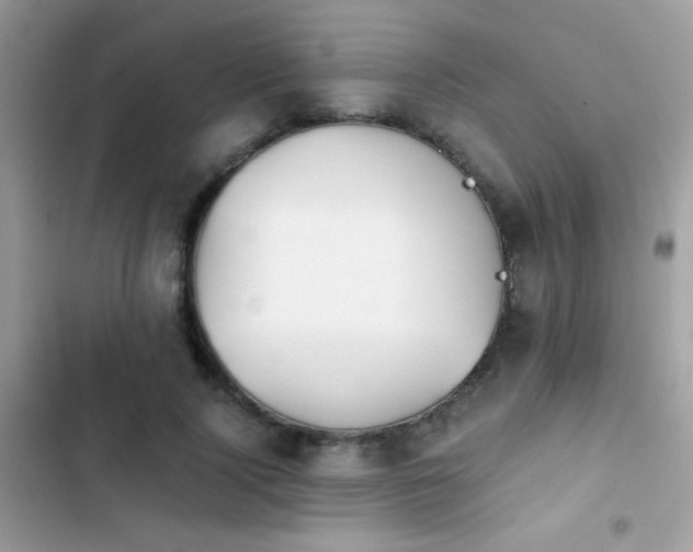 X0000103960740200809191511