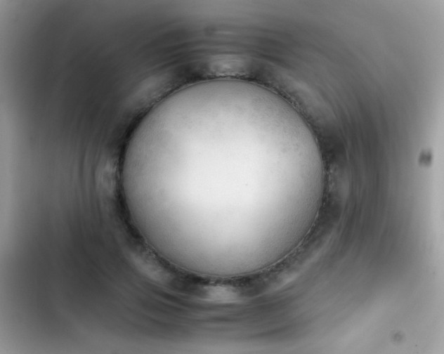 X0000103960741200809191511