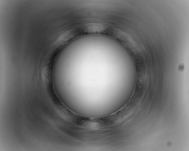 X0000103960743200809191511