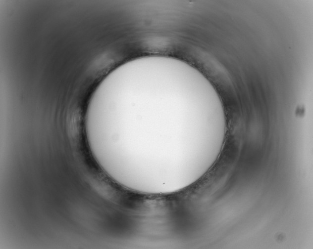 X0000103960744200809191511