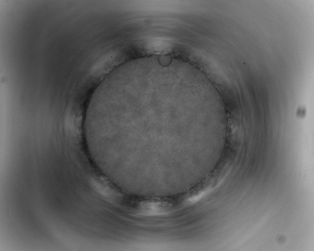 X0000103960745200809191511