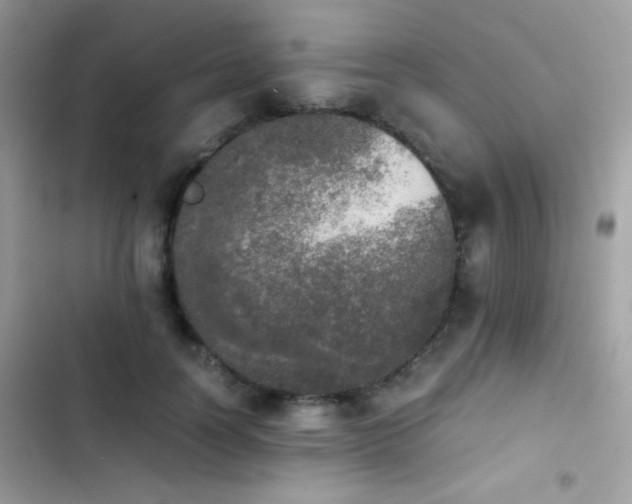 X0000103960746200809191511