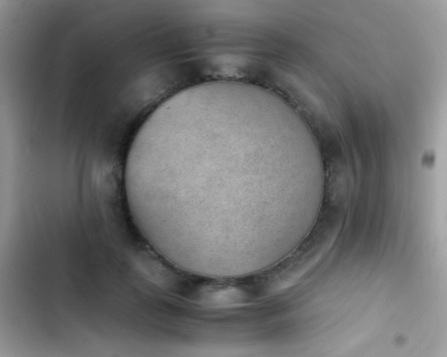 X0000103960747200809191511